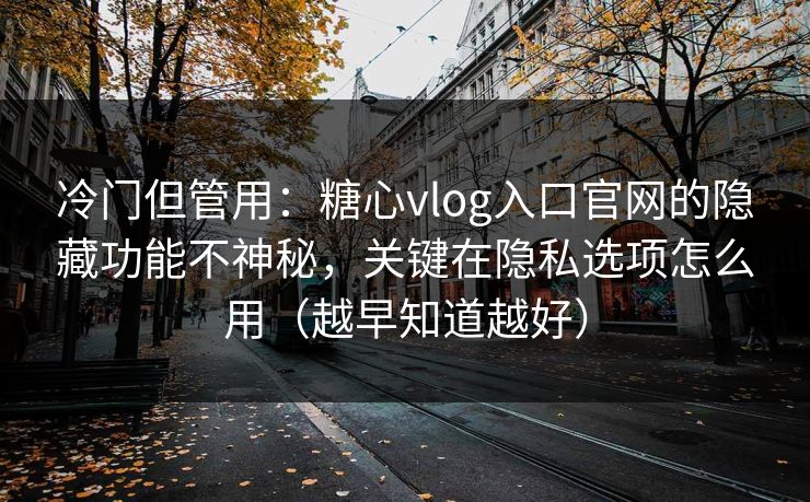 冷门但管用：糖心vlog入口官网的隐藏功能不神秘，关键在隐私选项怎么用（越早知道越好）